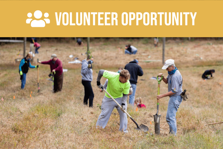 Volunteer opportunity.