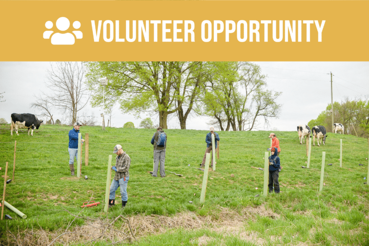 Volunteer opportunity.