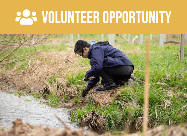 Volunteer opportunity.