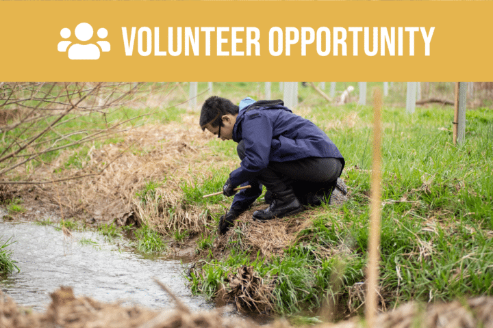 Volunteer opportunity.