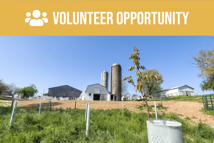 Volunteer opportunity.