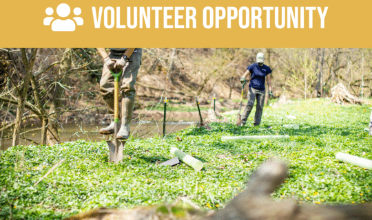Volunteer opportunity.