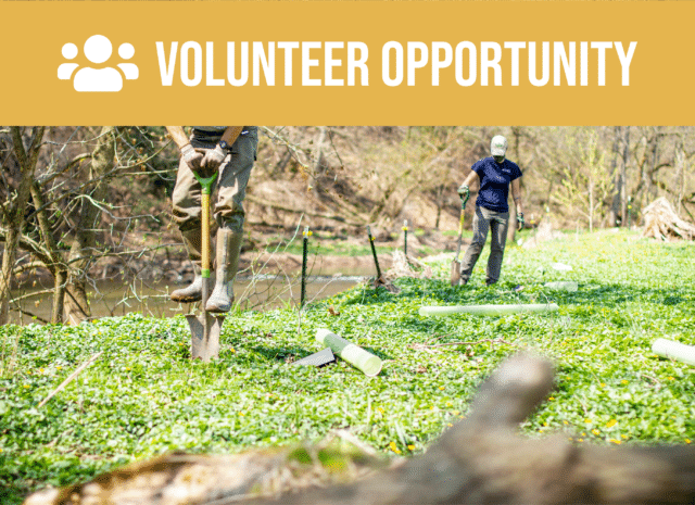 Volunteer opportunity.
