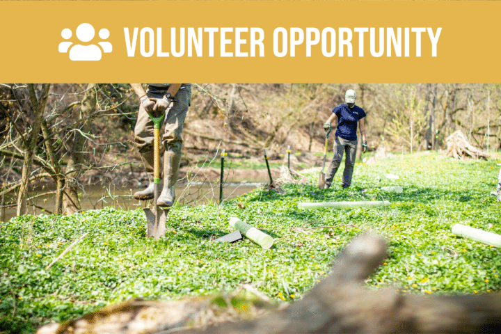 Volunteer opportunity.