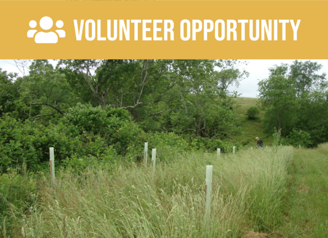 Volunteer opportunity.