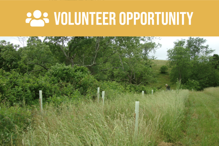 Volunteer opportunity.