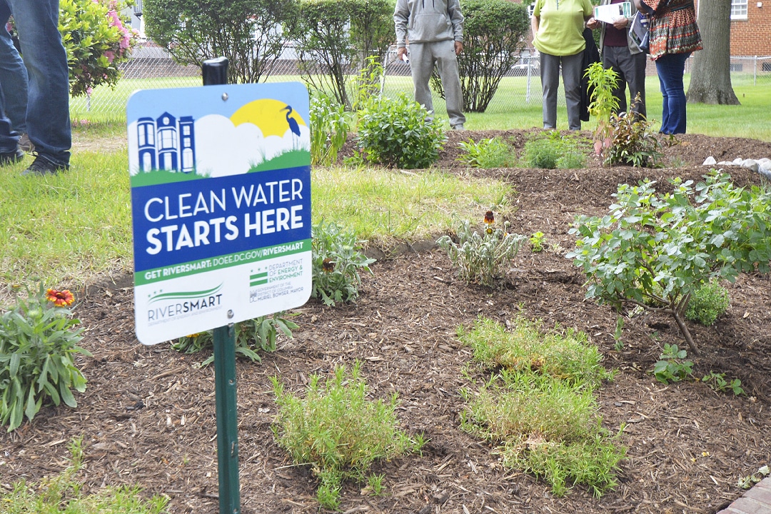 Another Year of Green Infrastructure Success in DC - Alliance for the ...