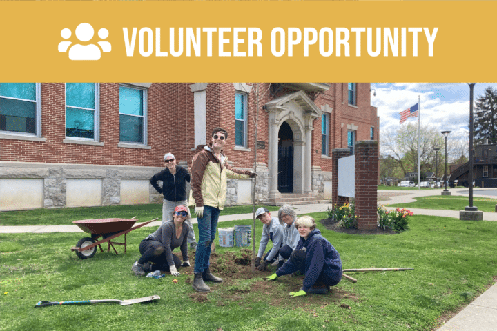 Volunteer opportunity.