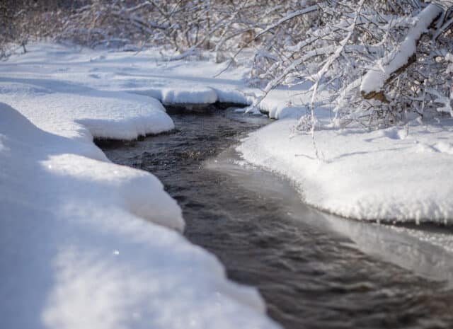 A closeup of a flowing stream with snow-covered banks