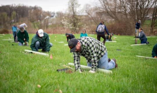 a group of people plant tree seedlings in a field