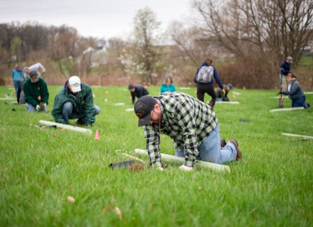 a group of people plant tree seedlings in a field