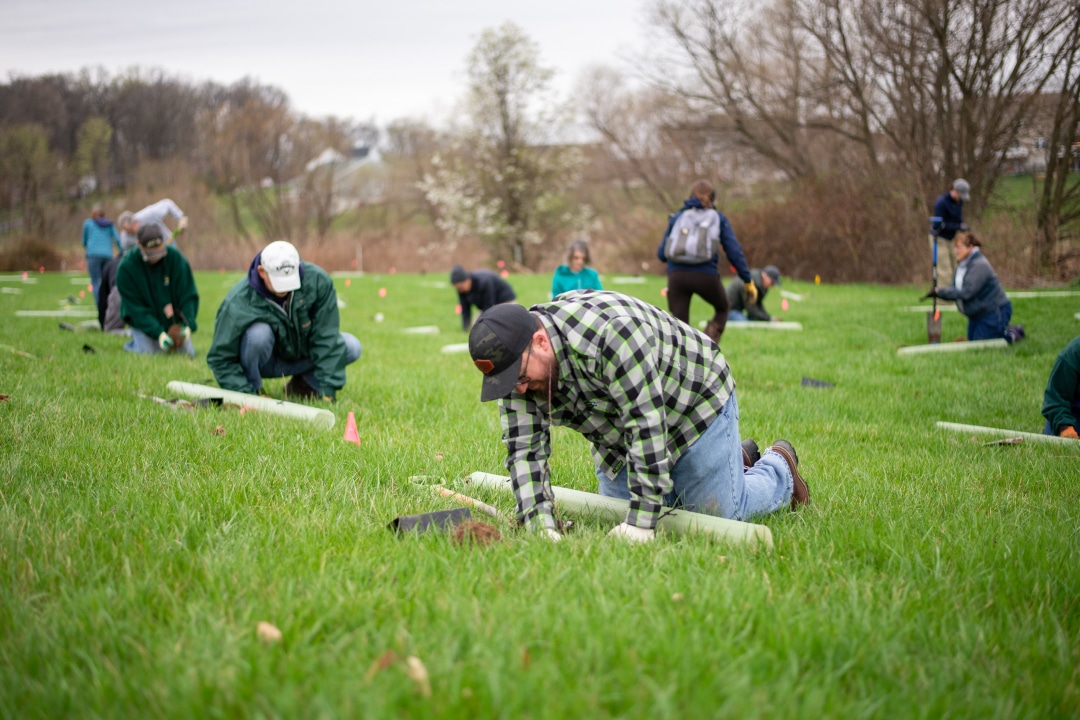 a group of people plant tree seedlings in a field