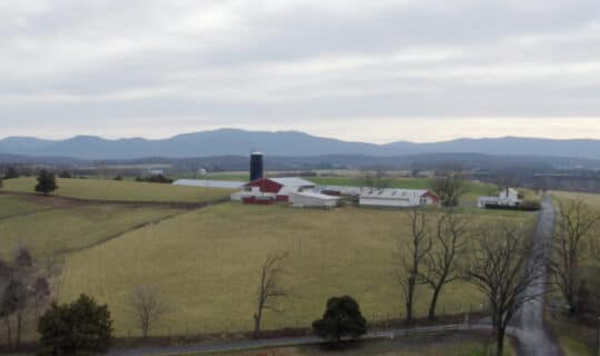 Aerial view of a farm