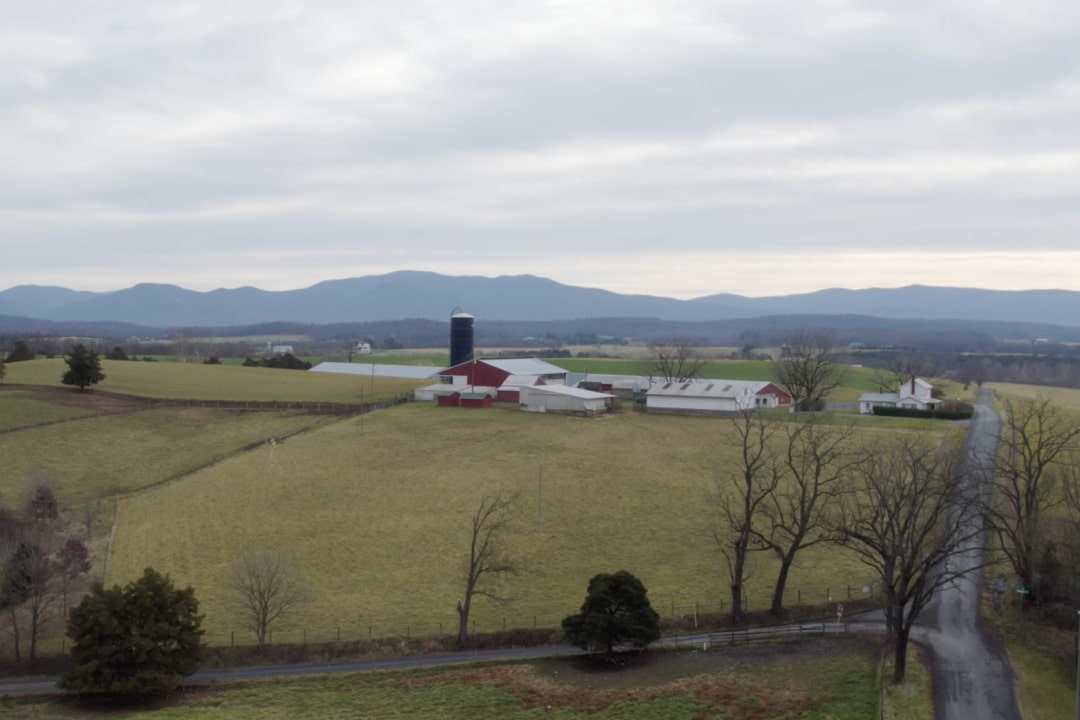 Aerial view of a farm