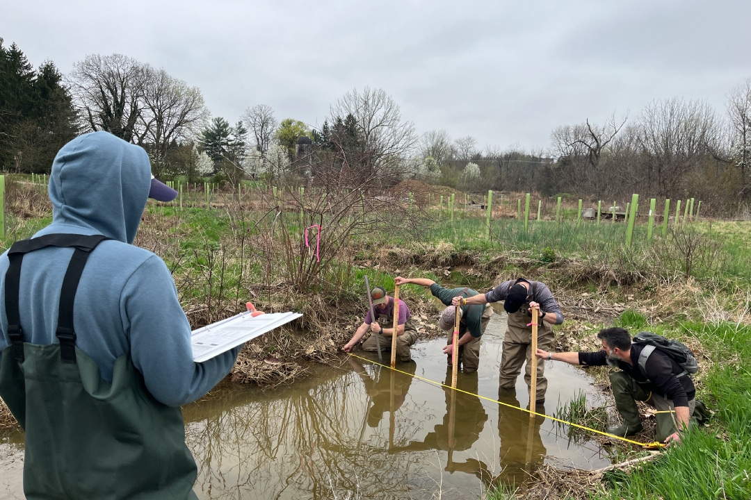 a person in the foreground records data on a clipboard while people in the background take measurements in a small stream