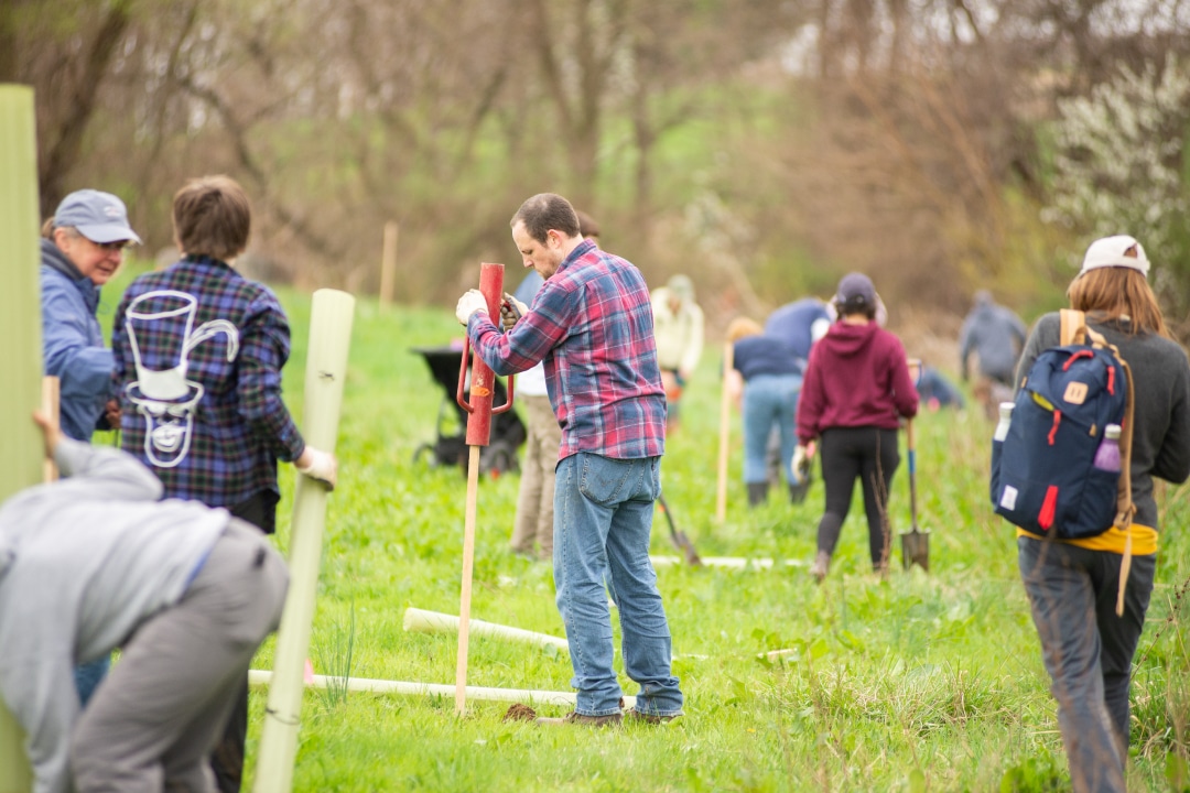 a person pounds a stake into the ground to prepare for seedling planting