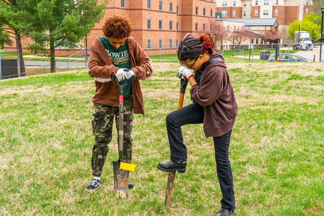 Two people dig a hole with shovels