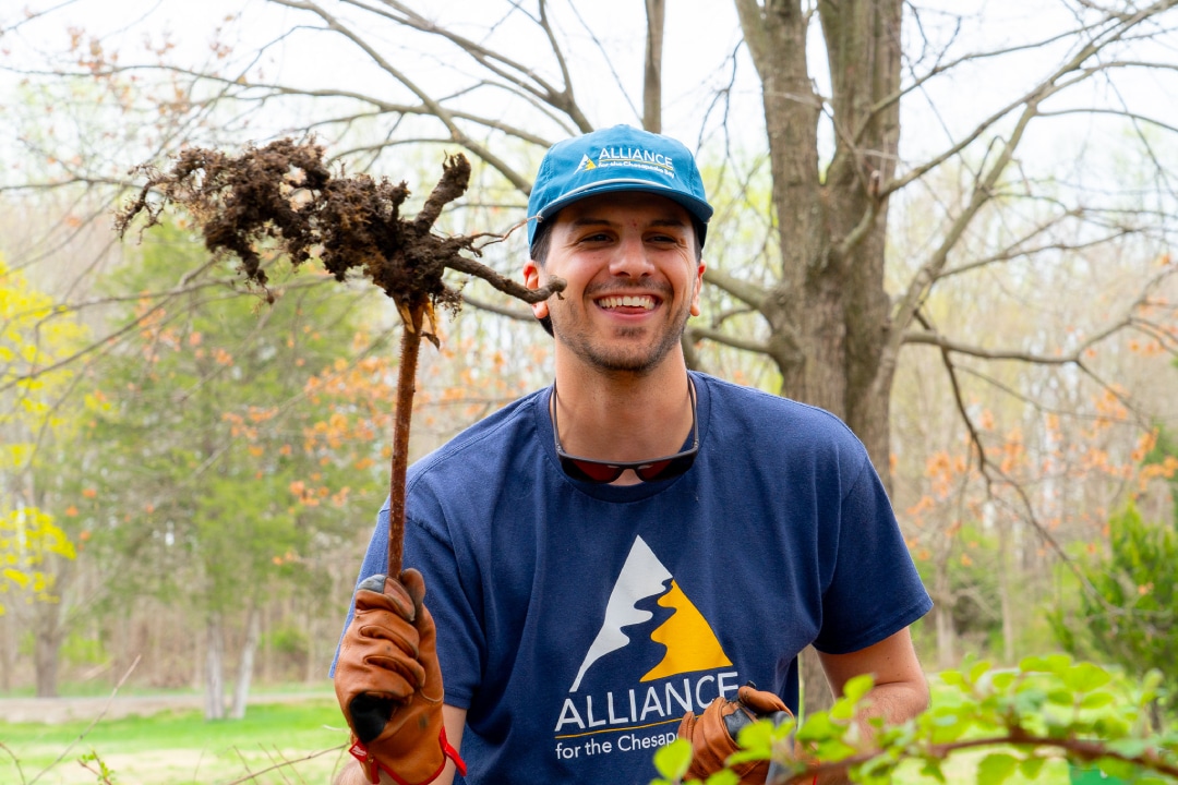 a person smiles while holding up a large plant root