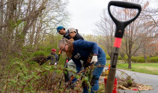 a group of people bend over to pick up trash along a path