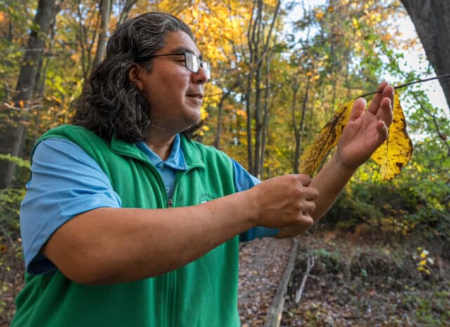 A person holds a leaf from a small tree branch