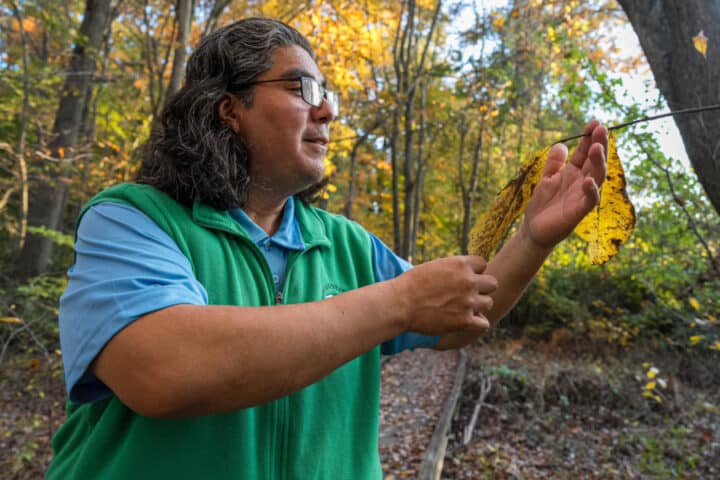 A person holds a leaf from a small tree branch