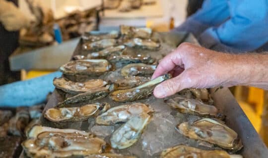 A tray filled with ice with numerous raw oysters on the half-shell laying on top with a person's hand reaching to grab one.