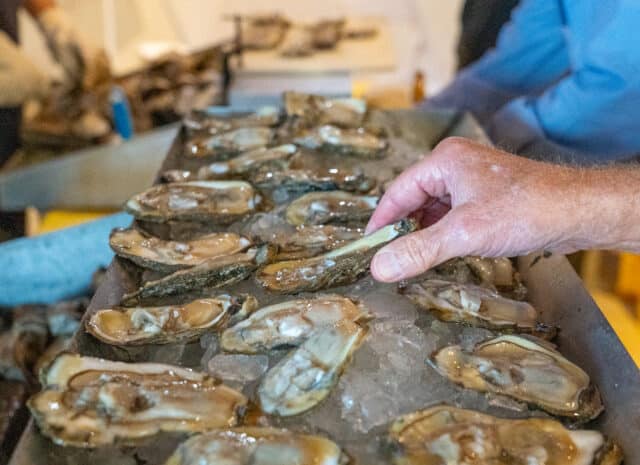 A tray filled with ice with numerous raw oysters on the half-shell laying on top with a person's hand reaching to grab one.