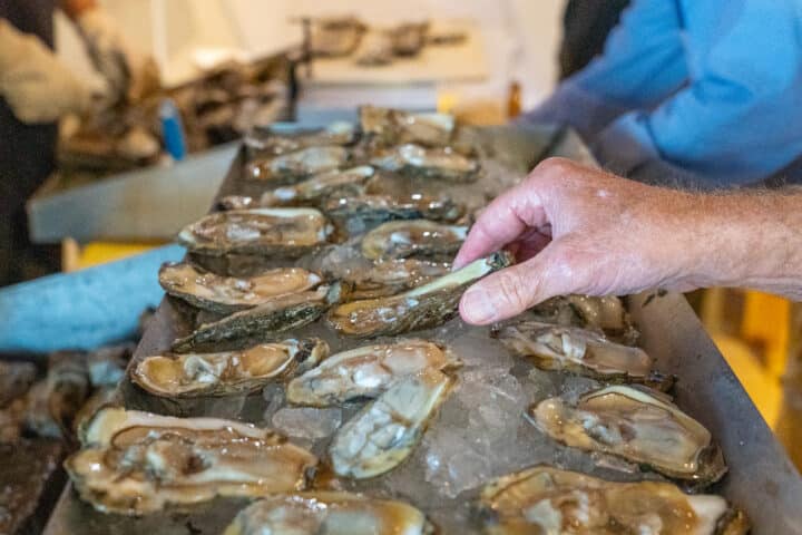 A tray filled with ice with numerous raw oysters on the half-shell laying on top with a person's hand reaching to grab one.