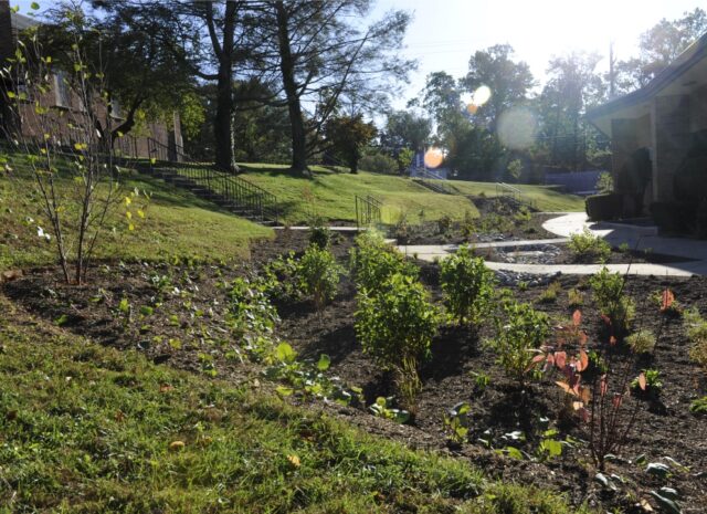 a garden area next to a church on a sunny day