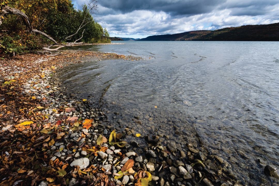 a landscape of a rocky shore