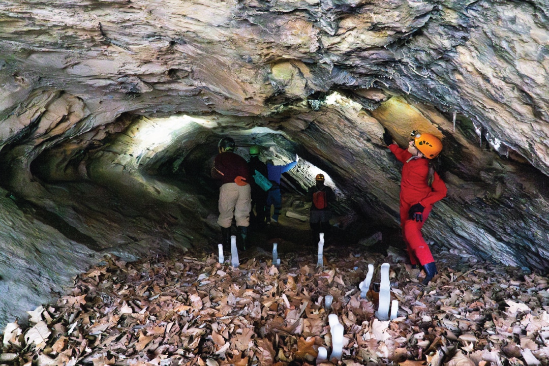 a group of people examine a cave entrance