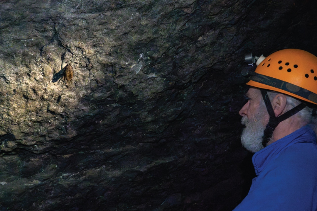 a person looking at a bat with a headlamp