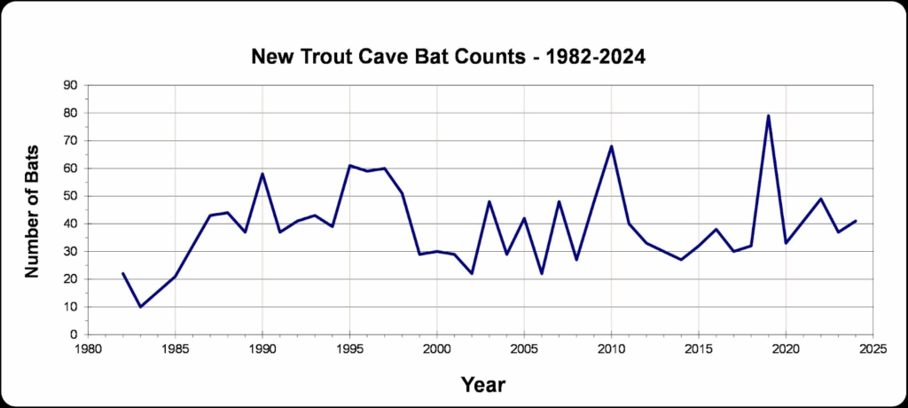 new trout cave bat counts - 1982-2024