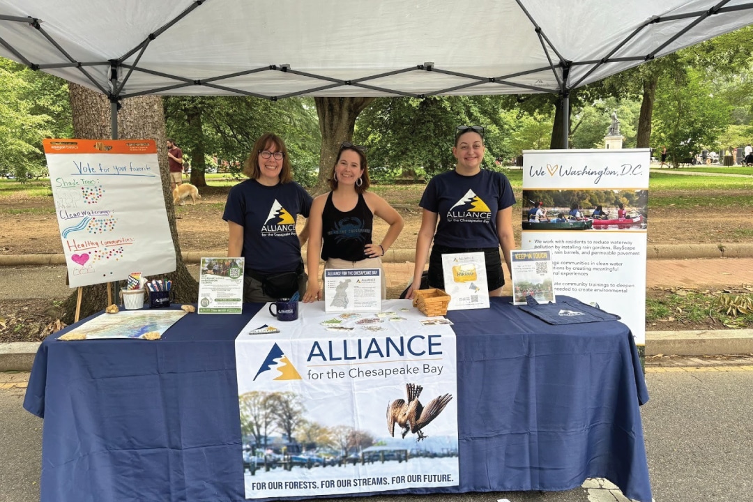 three people posing for a picture behind a display table