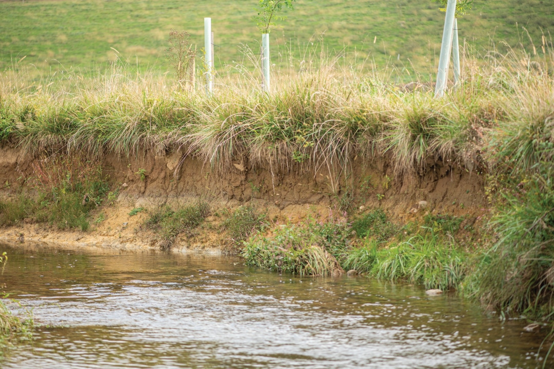 an eroded, vertical stream bank showing soil