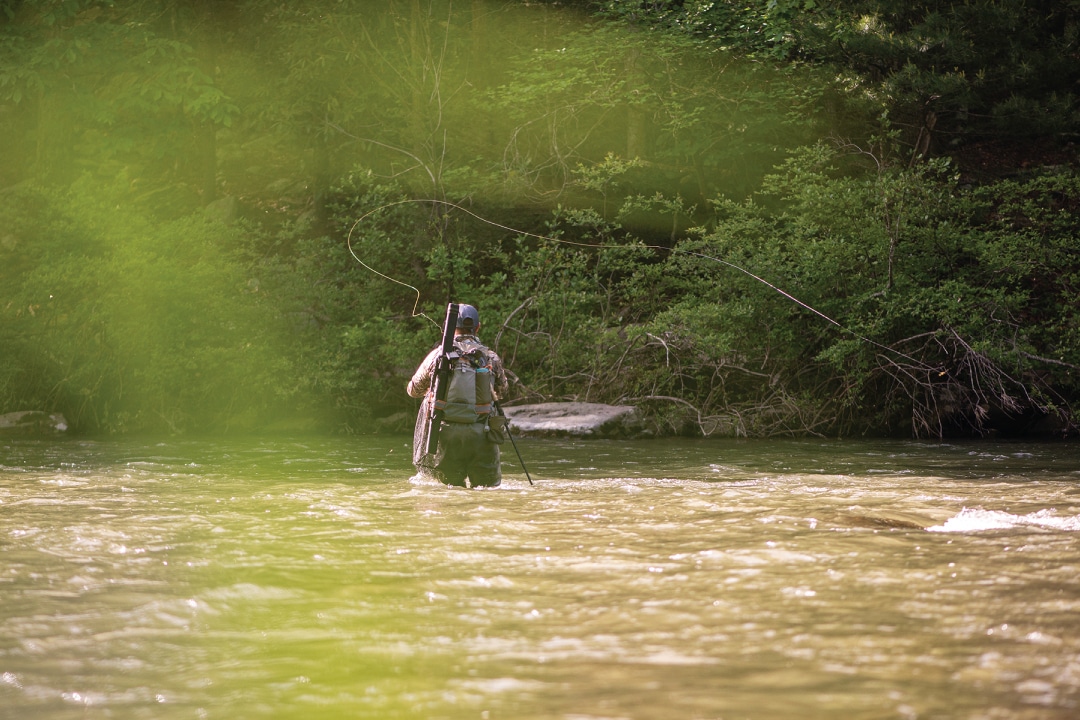 a person casting a flyrod in a shallow creek