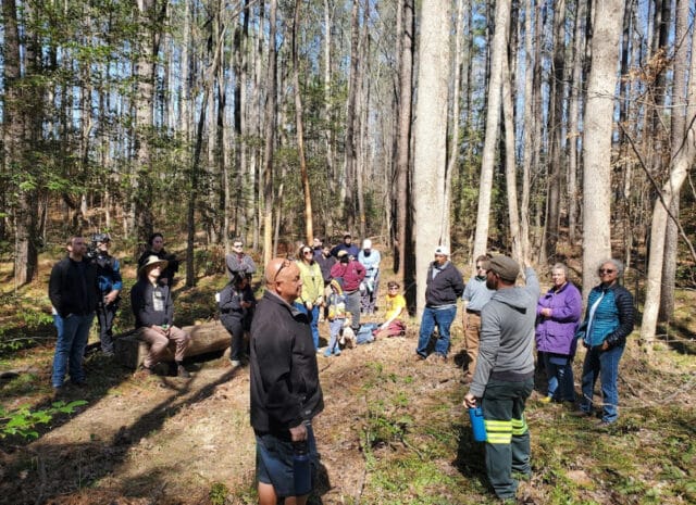 a group of people sanding in a forest