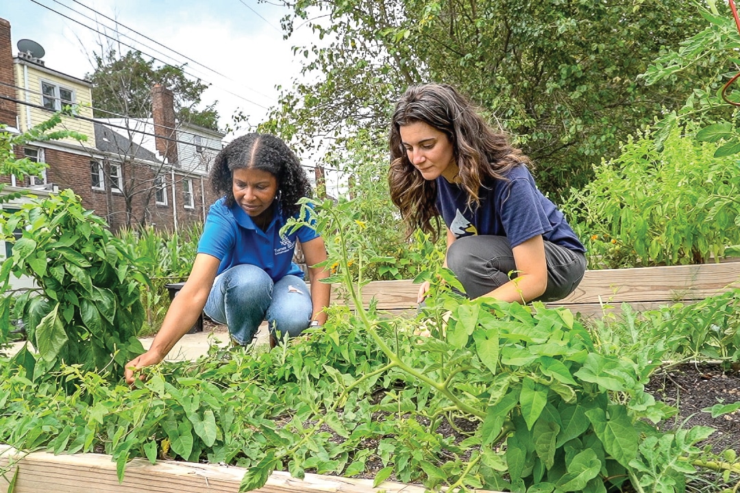 two people examine plants in a garden