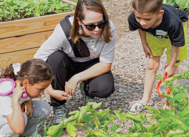 two children examine plants in a garden