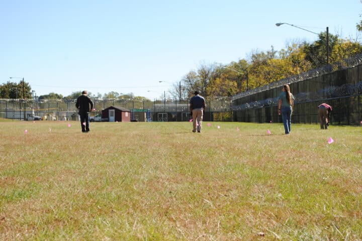 Students putting temporary flags in a field to designate future tree planting spots.