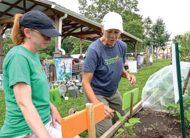 a person shows another a small plant