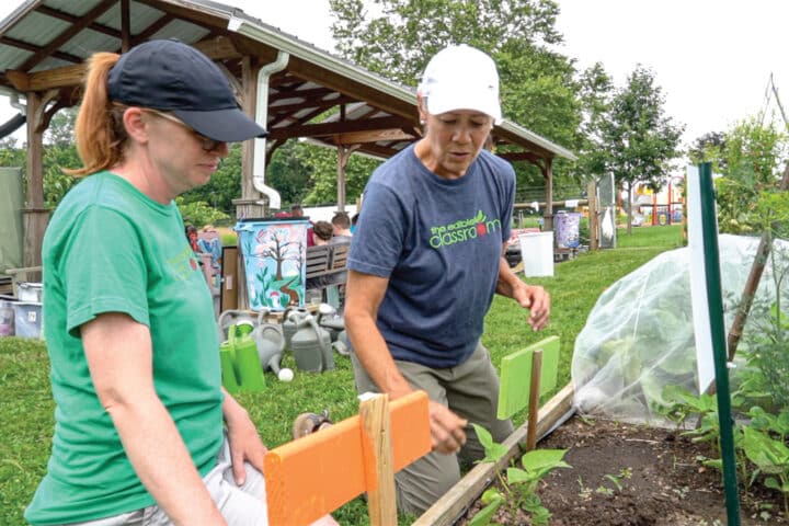 a person shows another a small plant