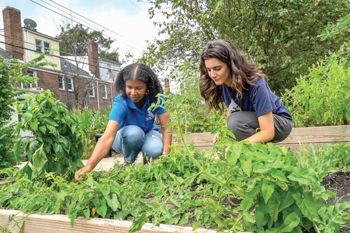 two people look at plants in a garden