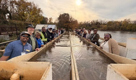 a group of people gather around a long structure holding water