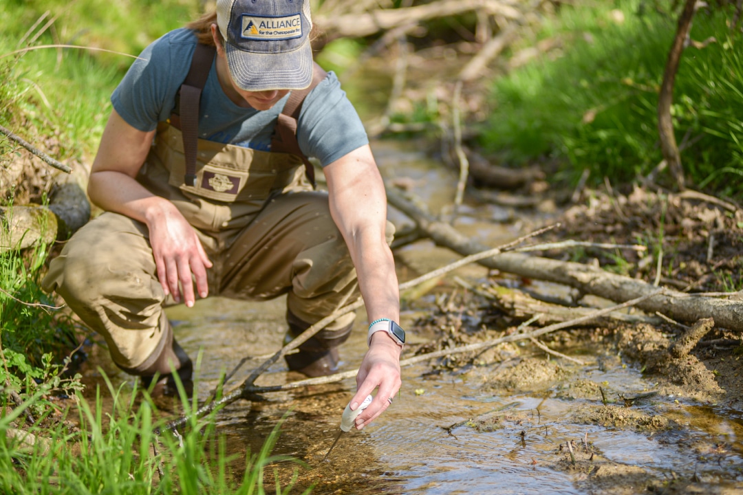a person holding a thermometer in a small creek