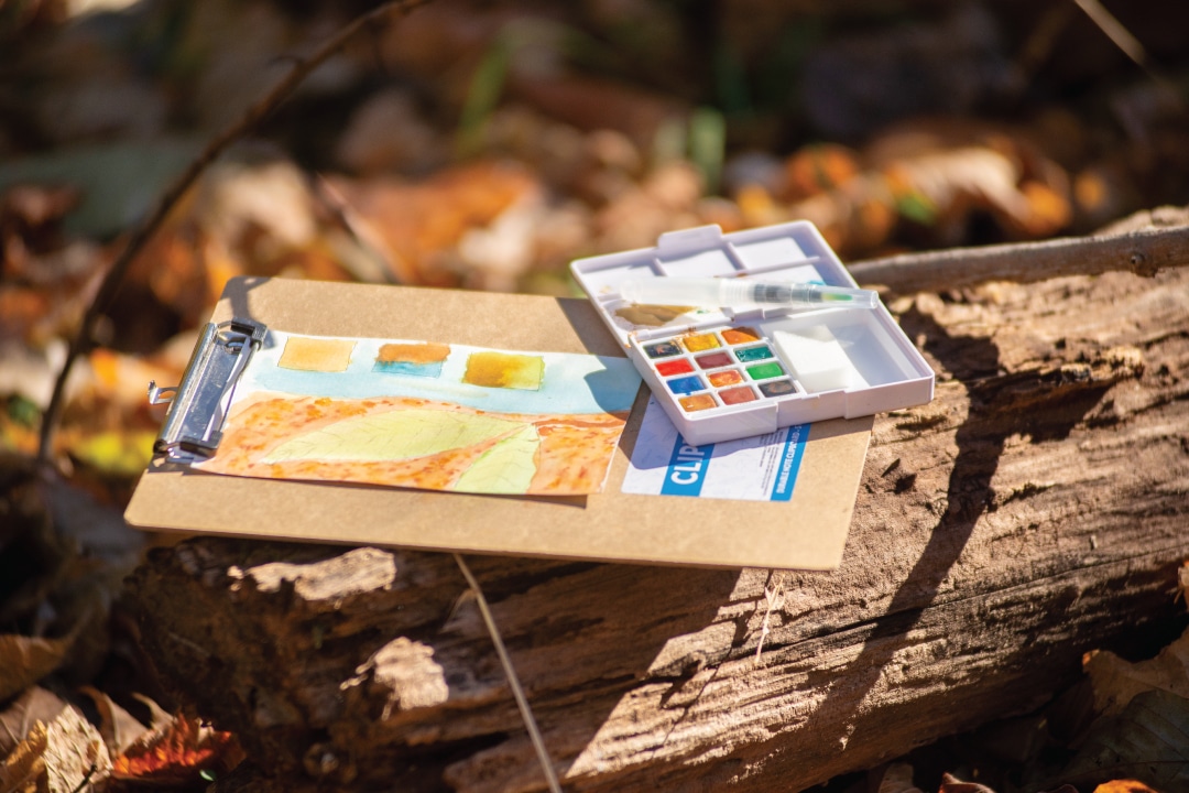 a water color kit and painting sitting on a log