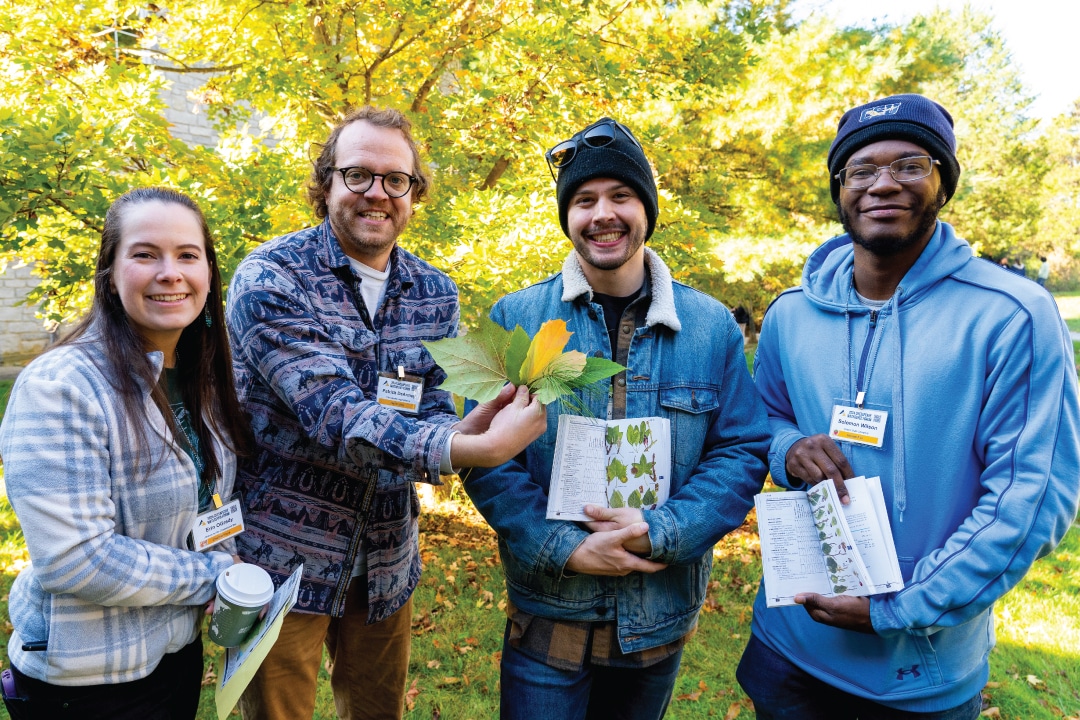 people hold up green leaves
