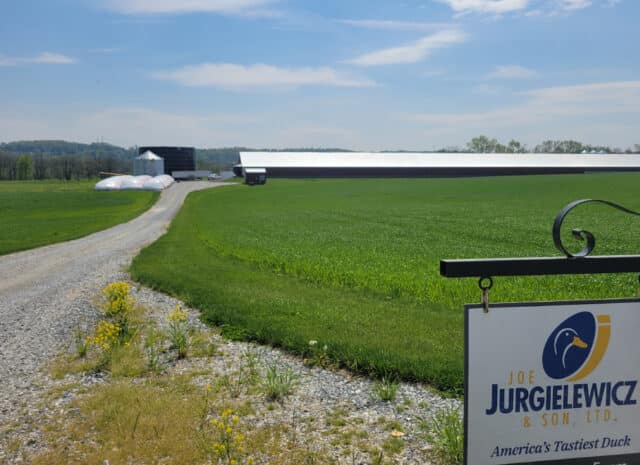 Joe Jurgielewicz & Son, LTD. America's tastiest duck.