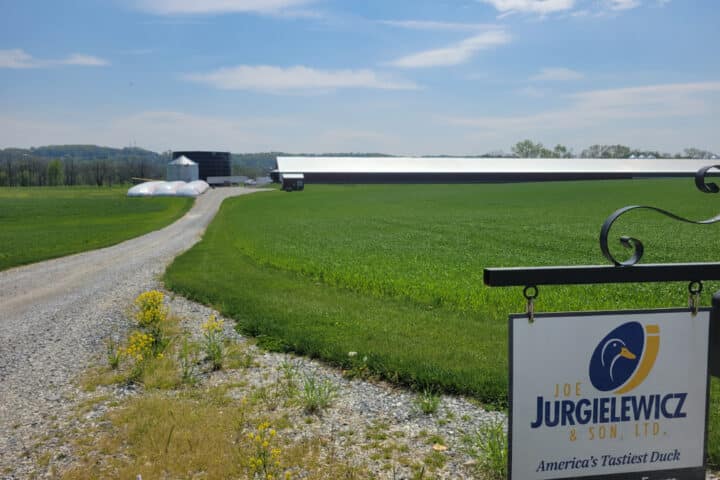 Joe Jurgielewicz & Son, LTD. America's tastiest duck.