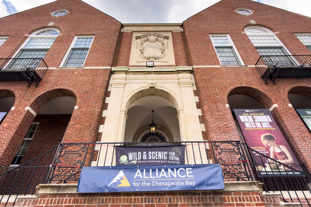 Wild and scenic alliance for the chesapeake bay